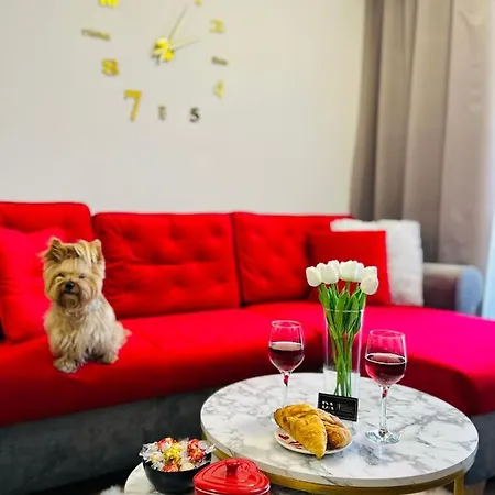 Downtown Presley Air-conditioned Ряшів