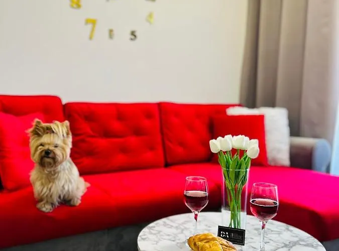 Downtown Presley Air-conditioned Ряшів